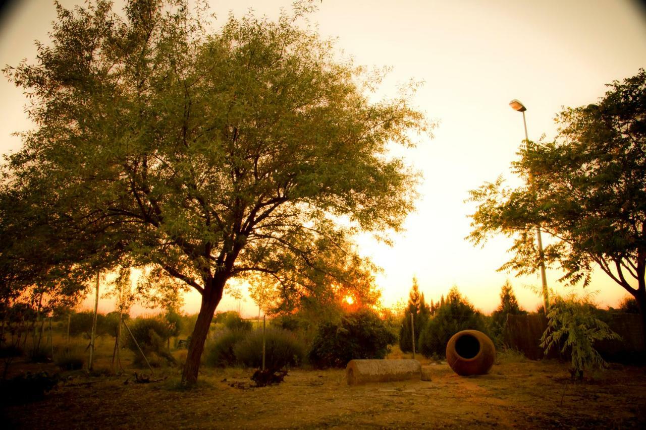 Las Candelas Casas De Los Pinos Extérieur photo
